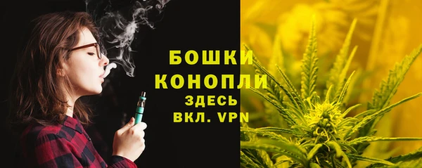 прущие крисы Арсеньев