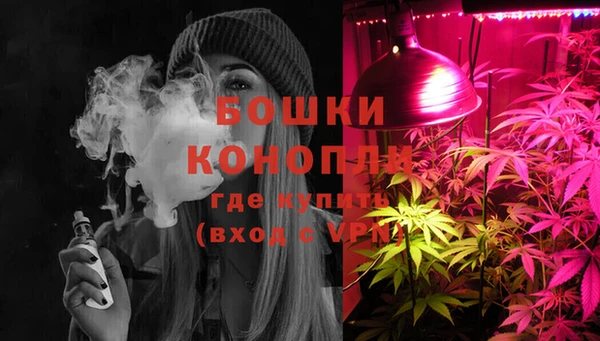 прущие крисы Арсеньев
