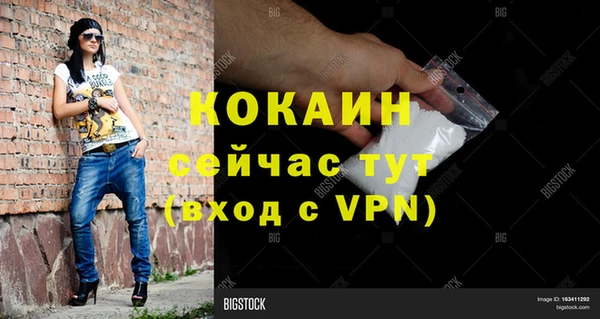 прущие крисы Арсеньев