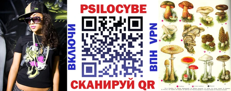 Псилоцибиновые грибы Cubensis Краснослободск