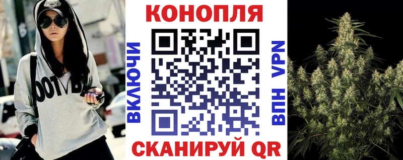 Шишки марихуана OG Kush  Краснослободск 